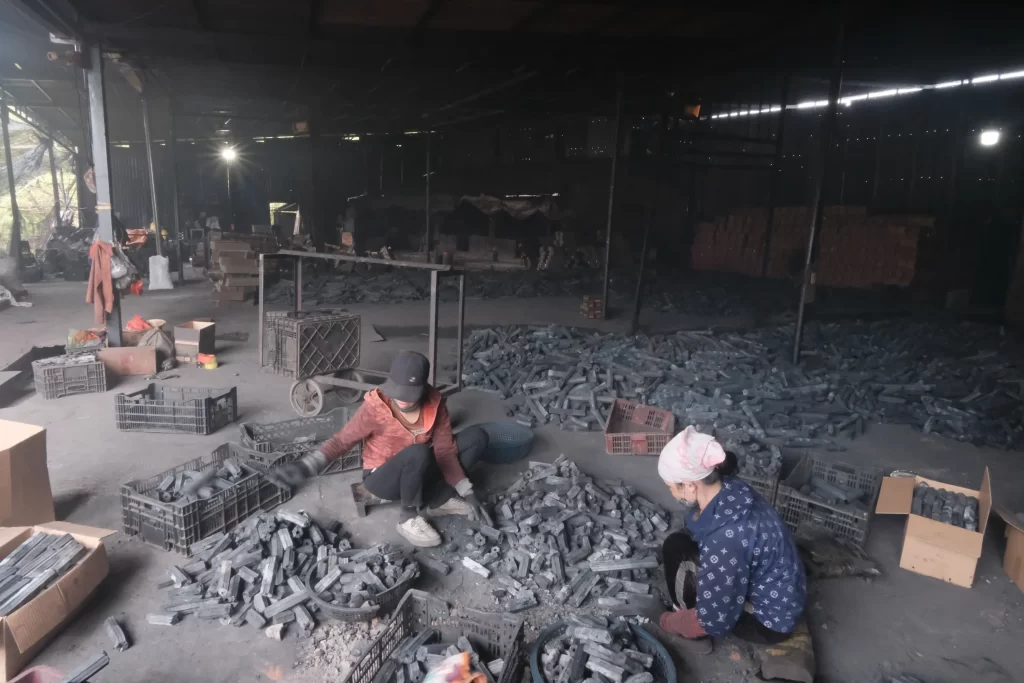 Classify - Tu Charcoal