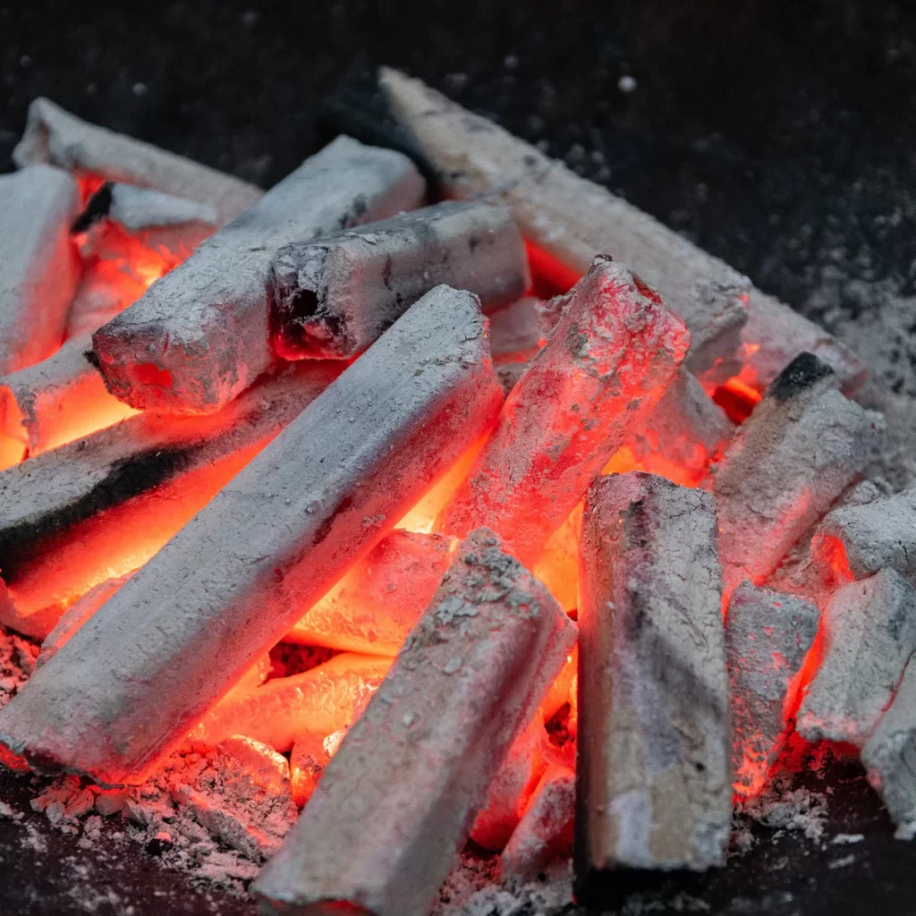 Product Sampling & Testing - Tu Charcoal