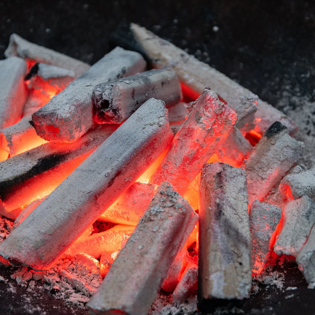 Product Sampling & Testing - Tu Charcoal