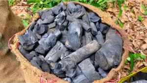 Charcoal Bulk - Tu Charcoal