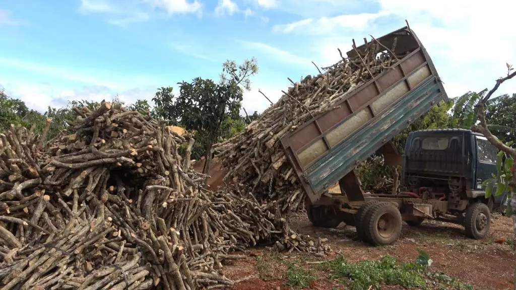 Coffee Wood - making binchotan charcoal - Tu Charcoal